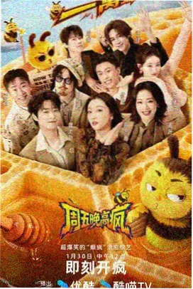 乘风破浪 国产综艺免费看